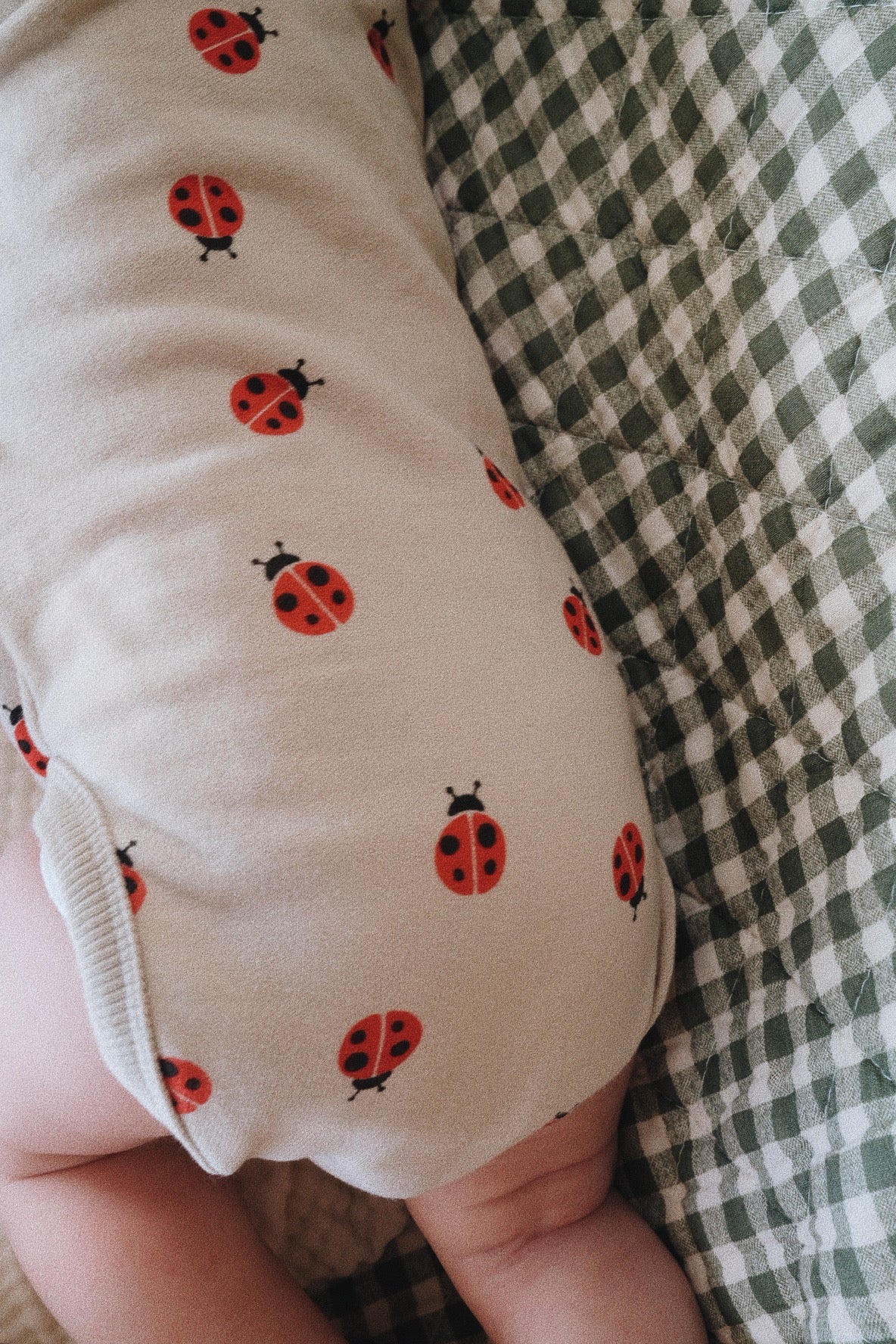 LADYBIRD BODYSUIT