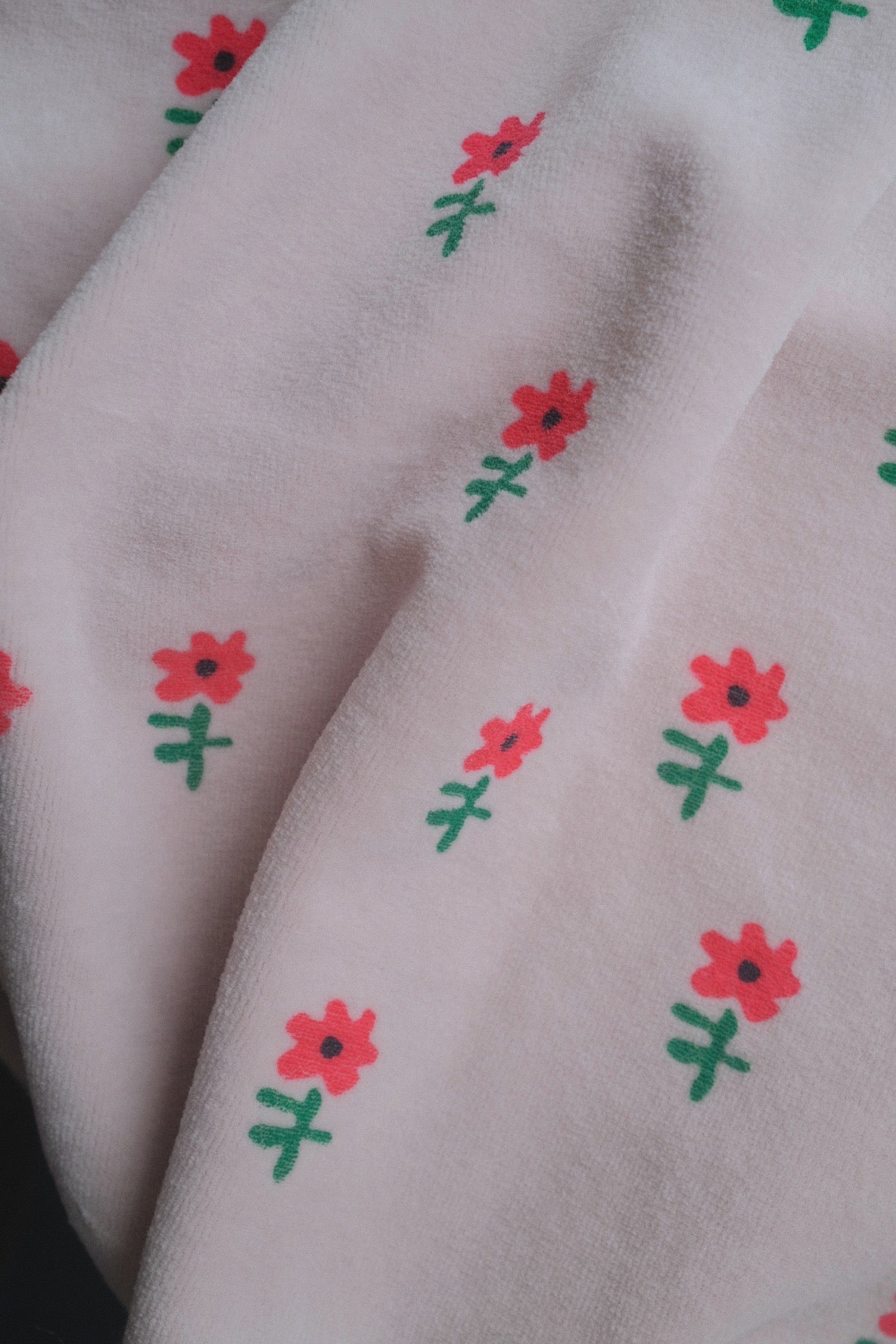 スライド画像
