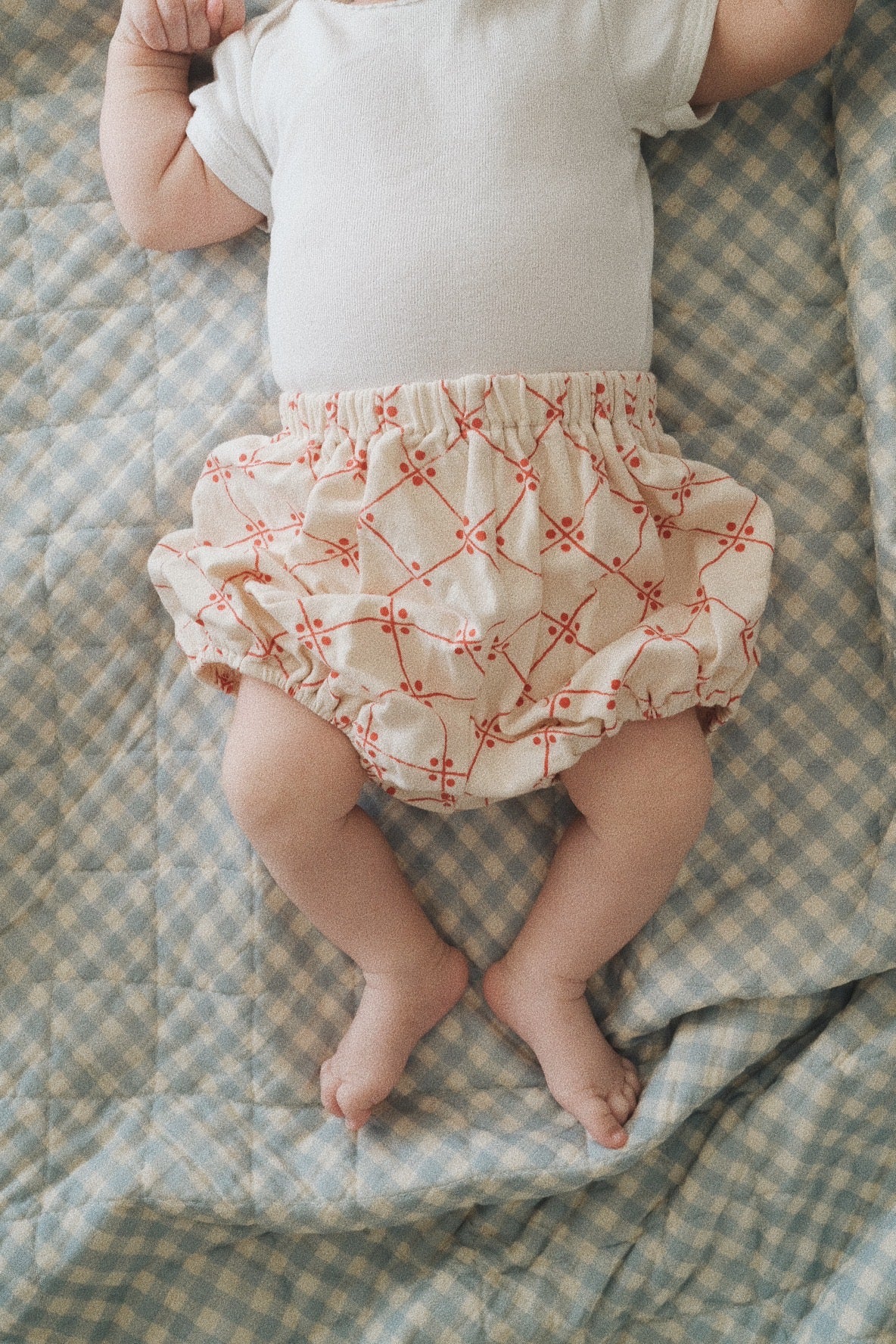 CHECK PUMPKIN PANTS