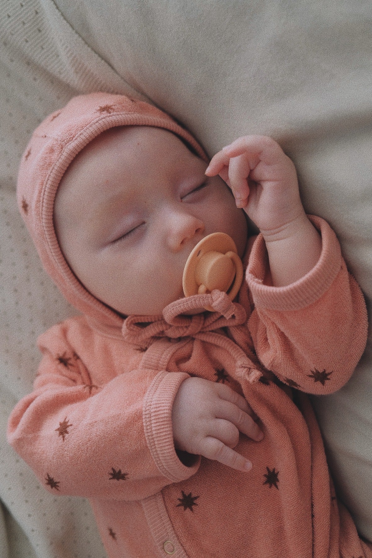 STELLA BONNET