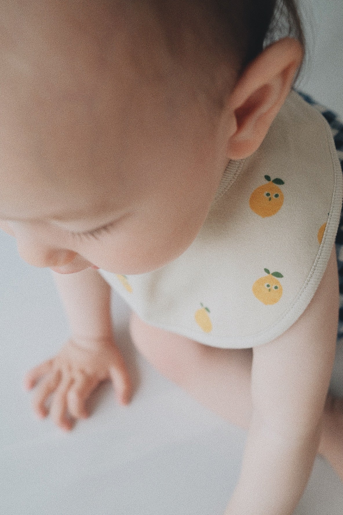 LEMON BIB