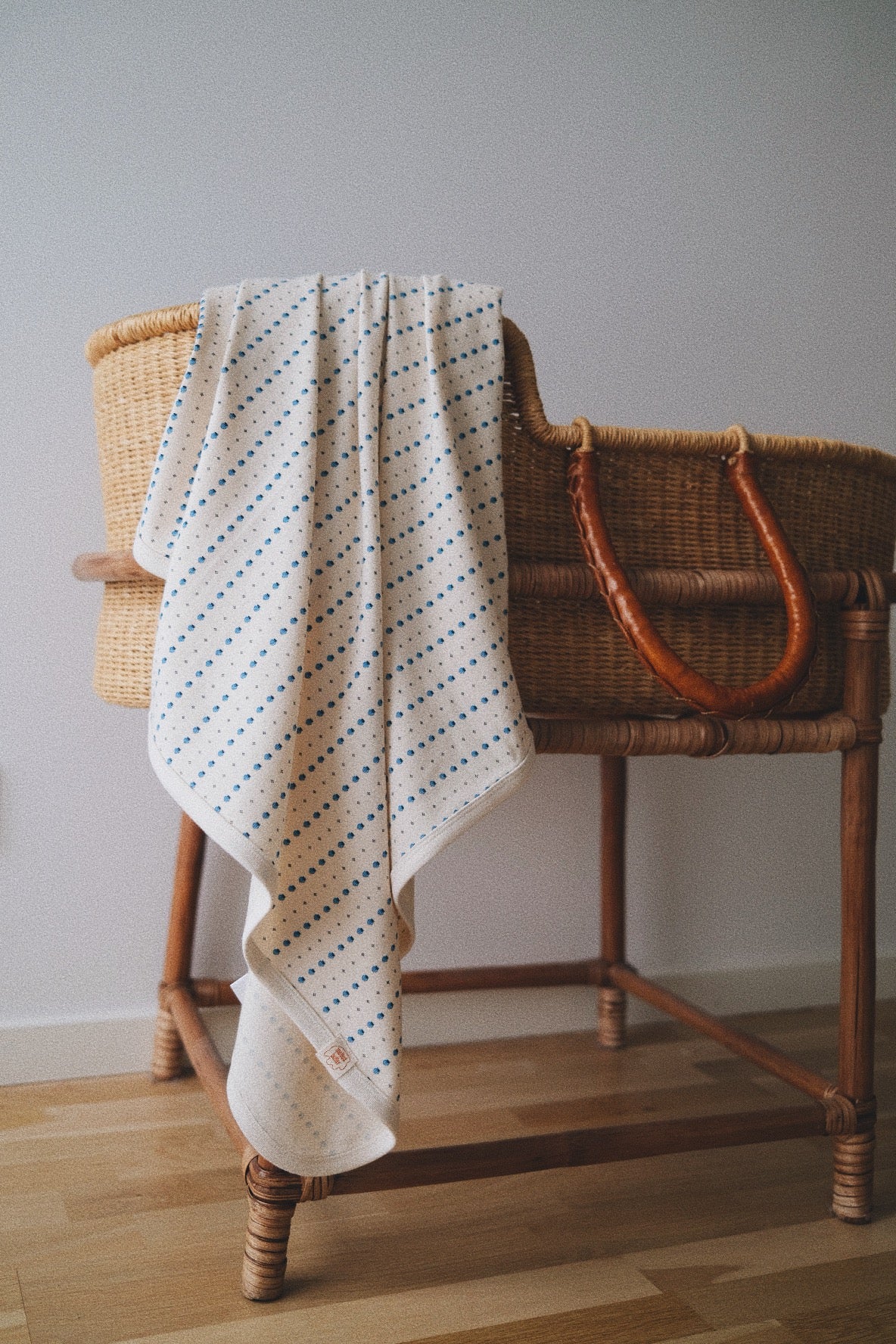 STRAWBERRY STRIPES BLANKET