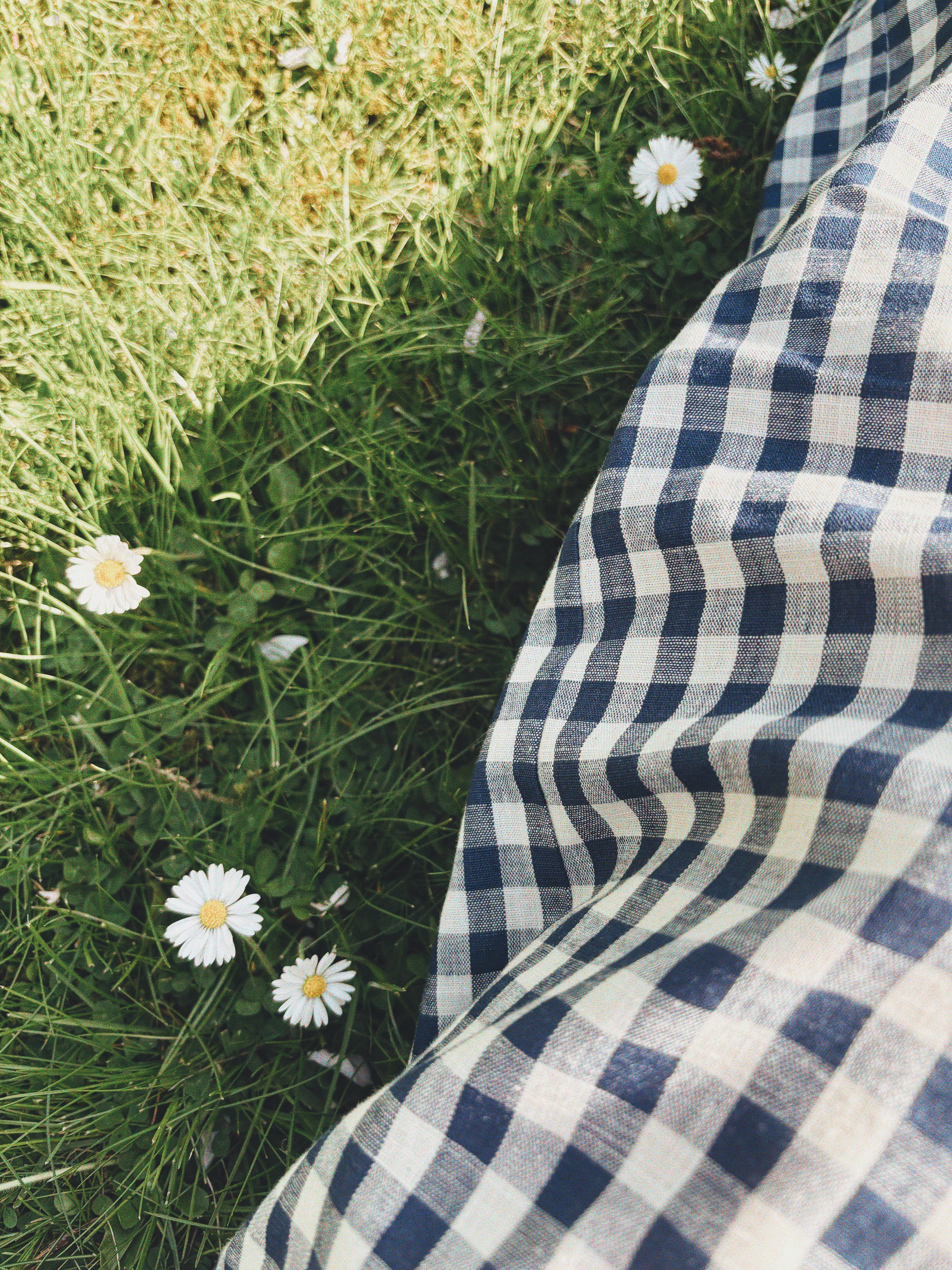 BLUE GINGHAM CHECK MAMA PANTS