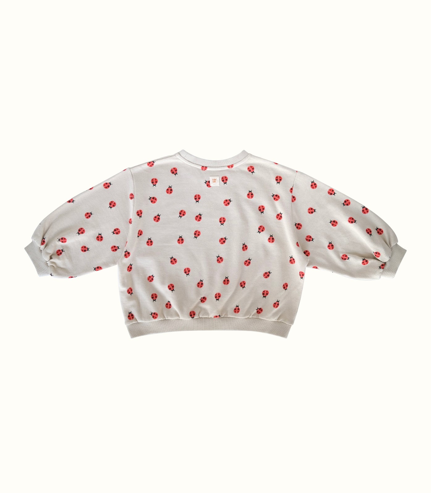 LADYBIRD OVERSIZED SWEATSHIRT